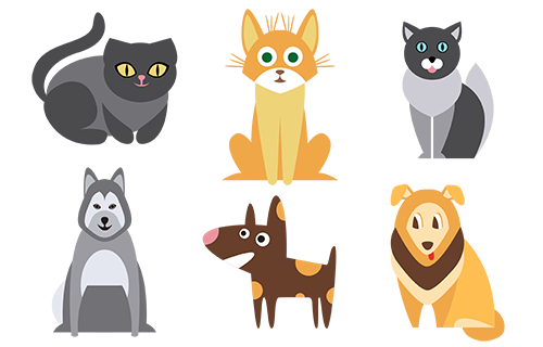 Cover illustration for Advanced typescript for React developers - discriminated unions