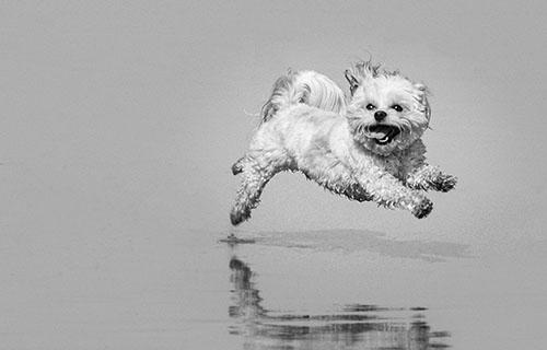 Cover illustration for How to write performant React code: rules, patterns, do's and don'ts