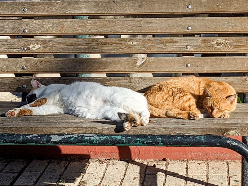 Cover illustration for 🦘 Prison break, or solving life like a developer️